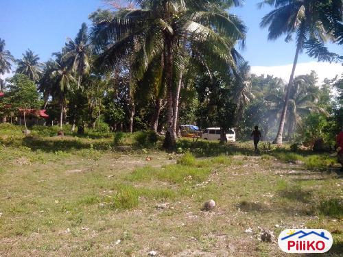 Residential Lot for sale in Island Garden City of Samal - image 4