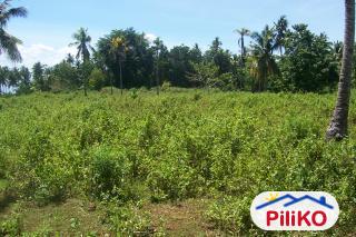 Residential Lot for sale in Island Garden City of Samal - image 4