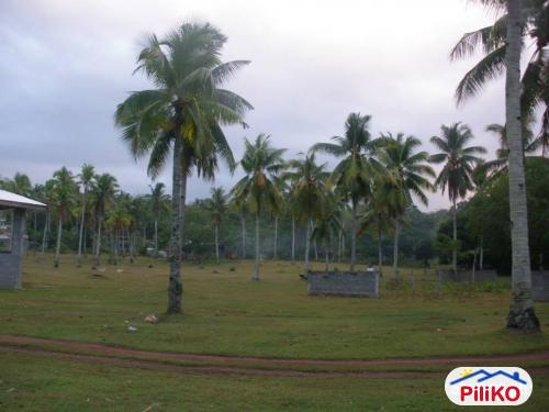 Residential Lot for sale in Island Garden City of Samal in Philippines