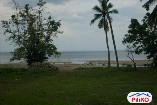 Residential Lot for sale in Island Garden City of Samal - image 5