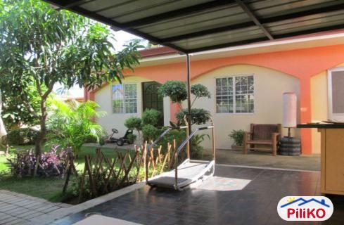 5 bedroom House and Lot for sale in Lapu Lapu - image 4