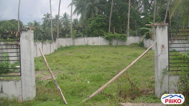 Picture of Residential Lot for sale in Other Cities