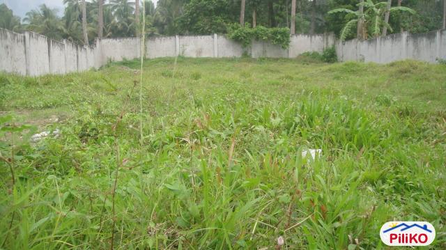Residential Lot for sale in Other Cities - image 2