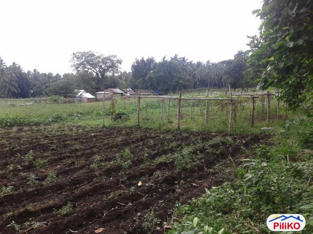 Residential Lot for sale in Other Cities - image 2
