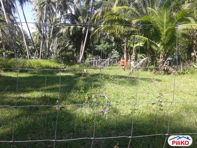 Residential Lot for sale in Other Cities in Negros Oriental