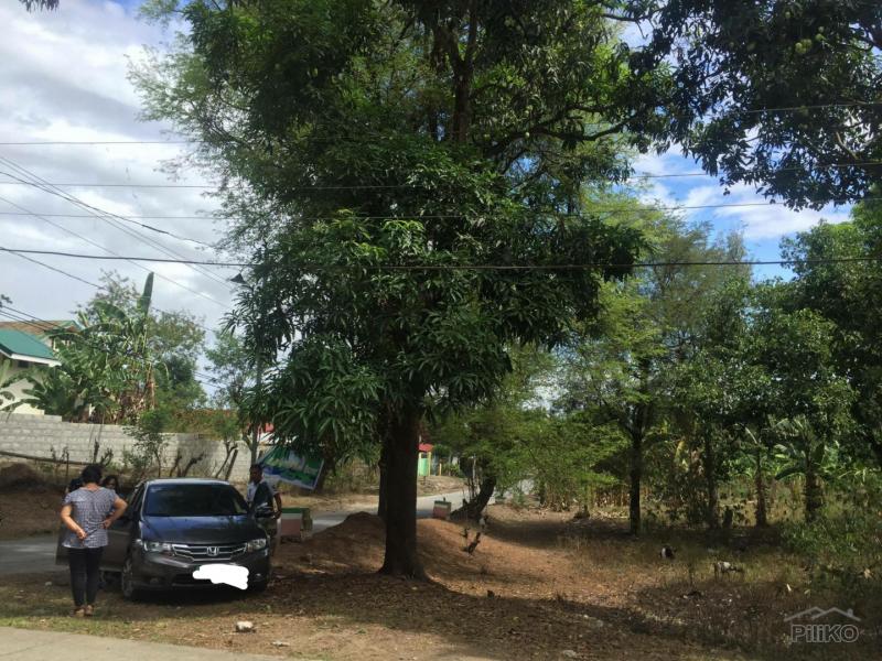 Land and Farm for sale in Magalang in Pampanga