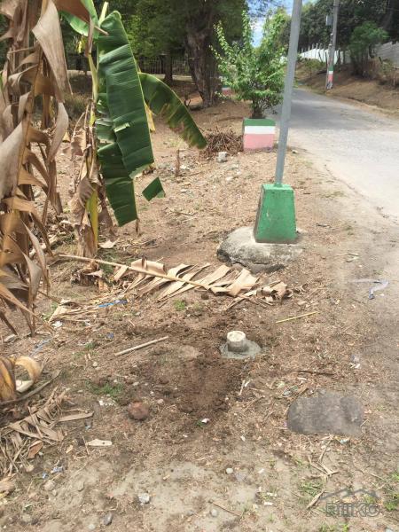 Land and Farm for sale in Magalang - image 9