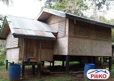 Agricultural Lot for sale in Davao City - image 2