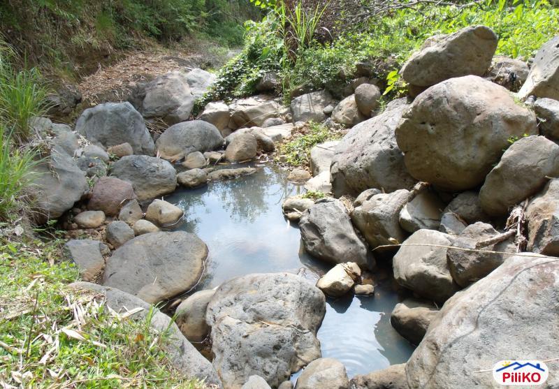 Agricultural Lot for sale in Davao City 450583 Photo 3