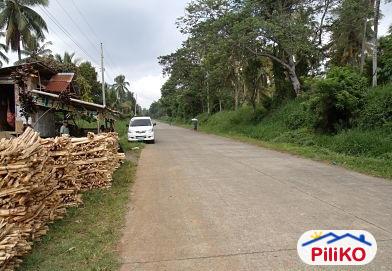 Agricultural Lot for sale in Davao City - image 4