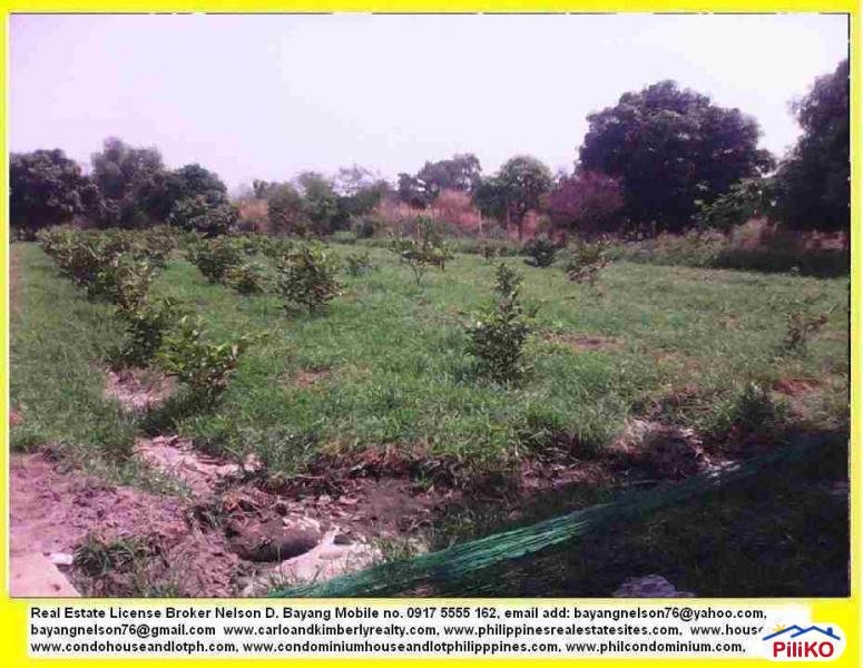 Pictures of Agricultural Lot for sale in San Jose del Monte