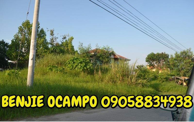 Picture of Residential Lot for sale in Davao City