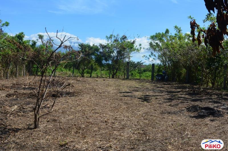 Agricultural Lot for sale in Other Cities in Camarines Sur
