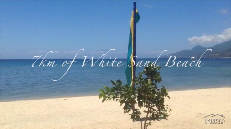 Residential Lot for sale in San Juan - image 11