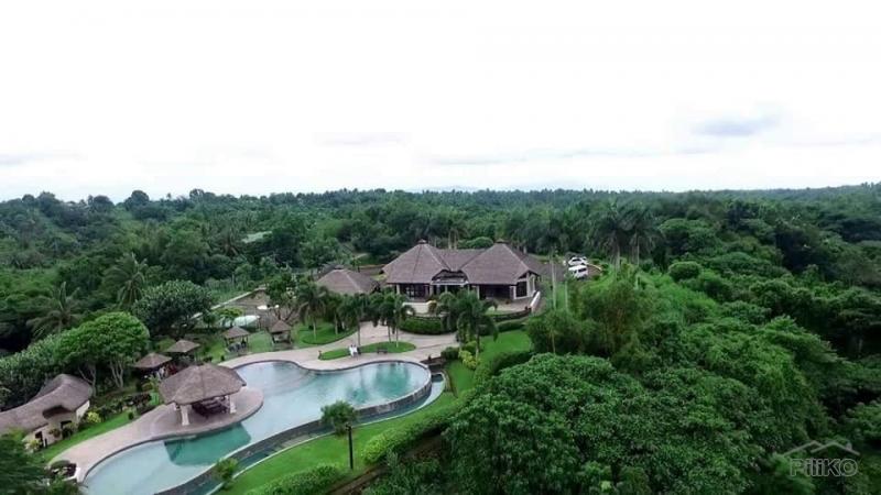 Land and Farm for sale in Lemery - image 10