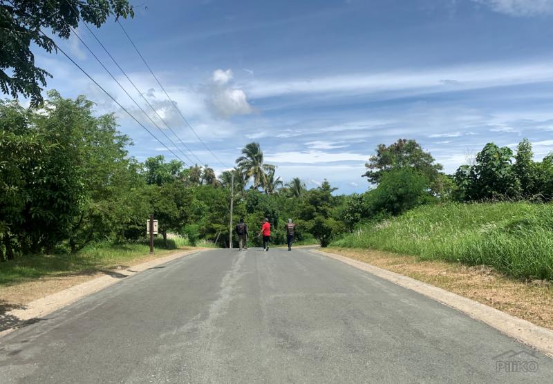 Land and Farm for sale in Lemery in Philippines