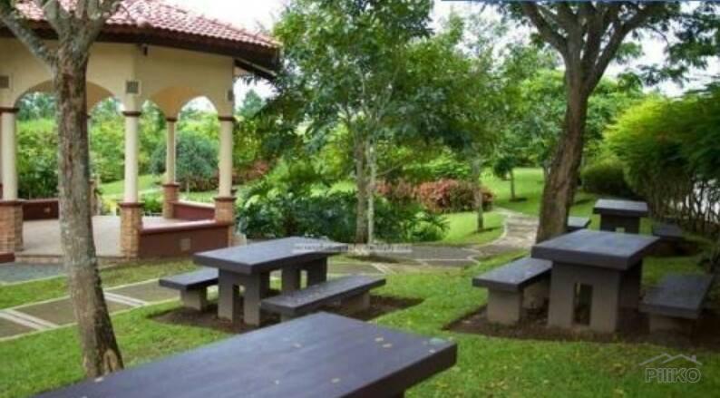 Land and Farm for sale in Silang - image 13