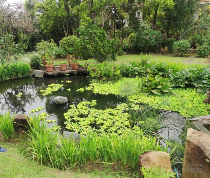 Land and Farm for sale in Silang - image 16
