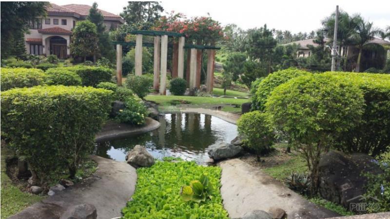 Land and Farm for sale in Silang - image 20