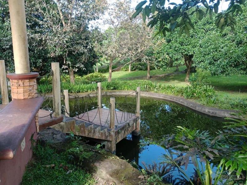 Residential Lot for sale in Silang - image 14