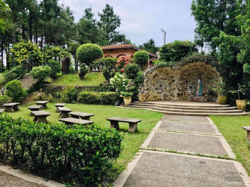 Residential Lot for sale in Silang - image 21