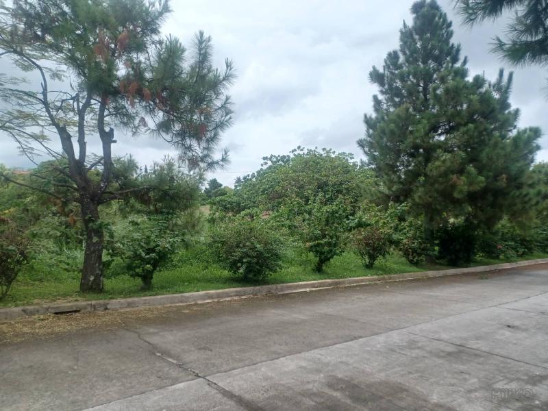 Residential Lot for sale in Silang
