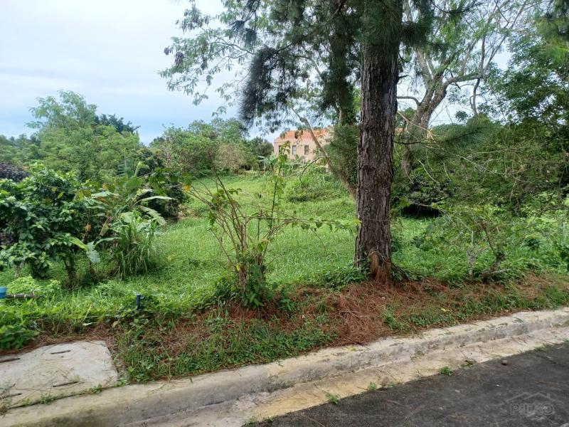Residential Lot for sale in Silang - image 8