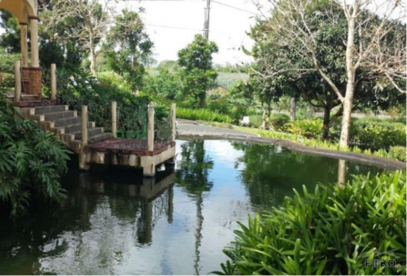 Residential Lot for sale in Silang - image 11