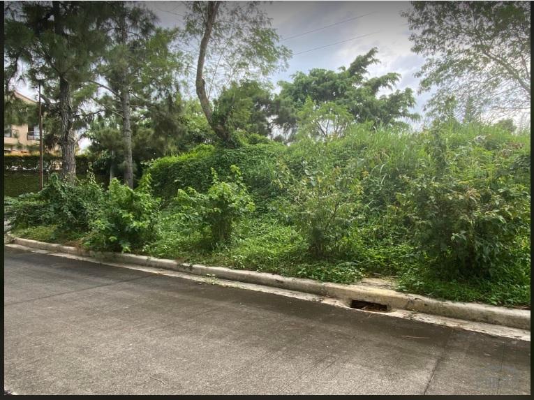 Residential Lot for sale in Tagaytay - image 4