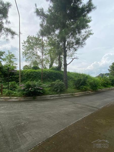 Residential Lot for sale in Tagaytay - image 5