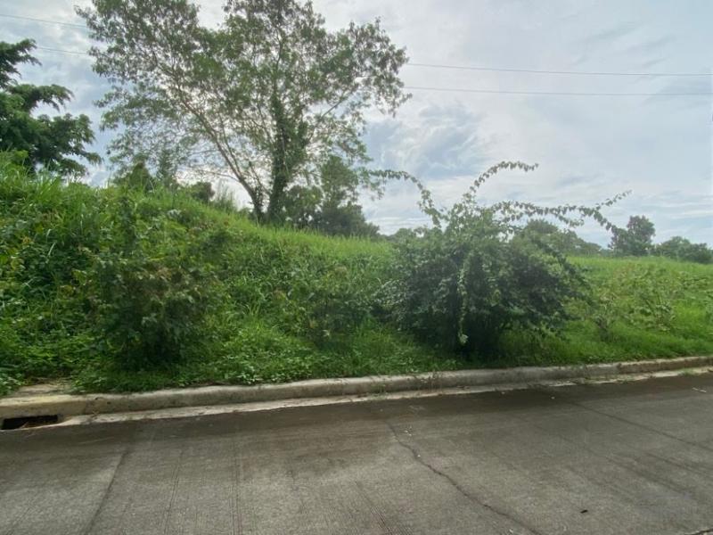 Residential Lot for sale in Tagaytay - image 6