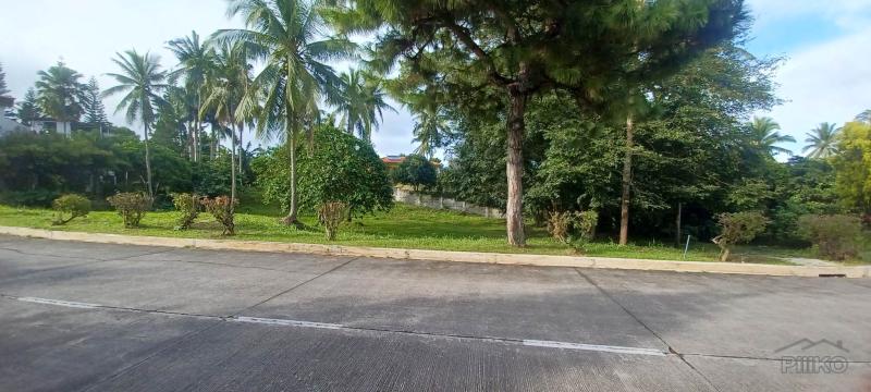 Residential Lot for sale in Silang - image 2