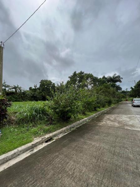 Picture of Residential Lot for sale in Silang in Cavite