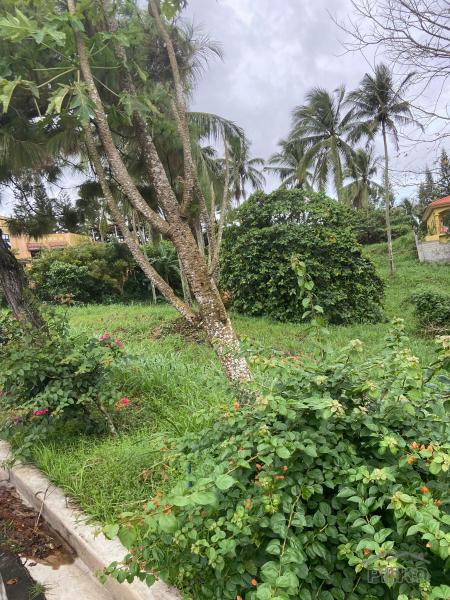 Residential Lot for sale in Silang - image 6
