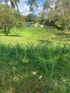 Residential Lot for sale in Silang - image 7