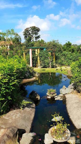Residential Lot for sale in Silang - image 11