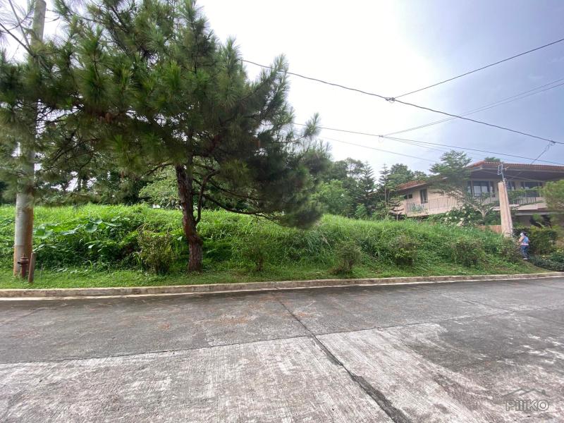 Residential Lot for sale in Silang - image 3