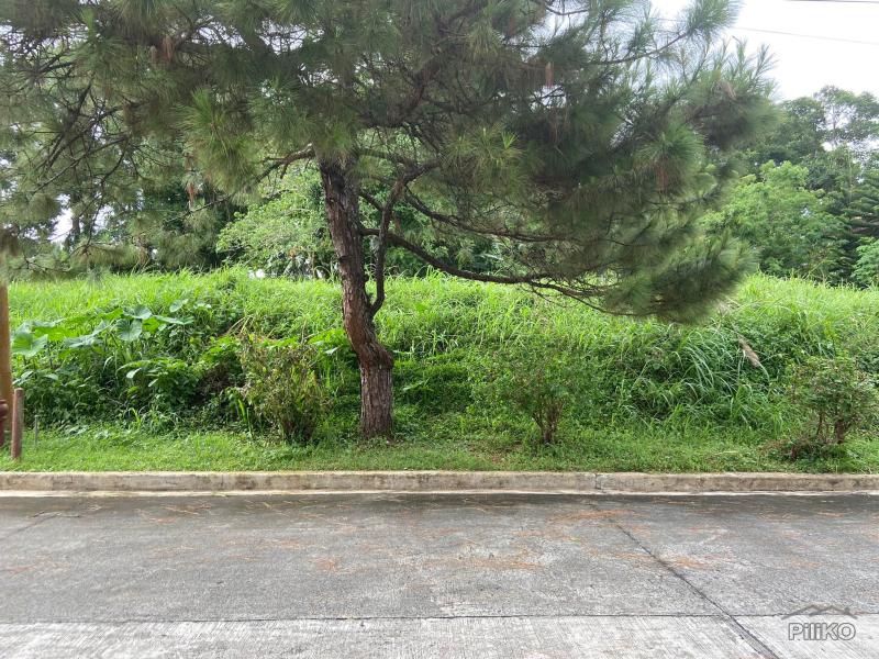 Residential Lot for sale in Silang - image 4