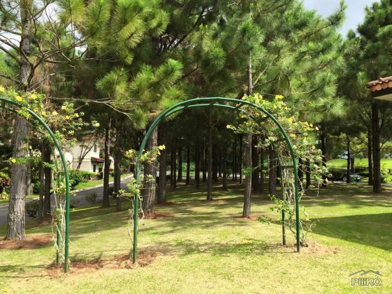 Land and Farm for sale in Silang - image 19