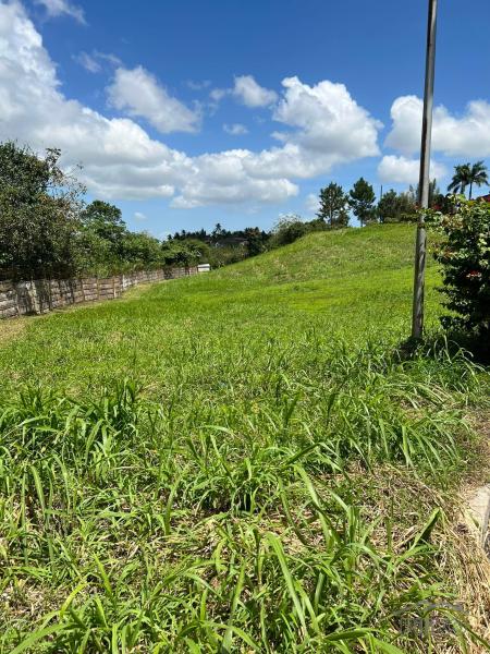 Land and Farm for sale in Silang - image 3
