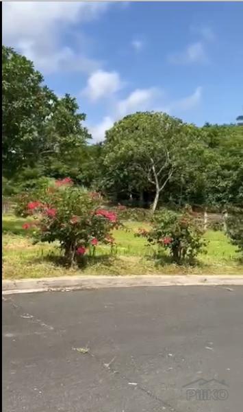 Land and Farm for sale in Silang in Cavite - image