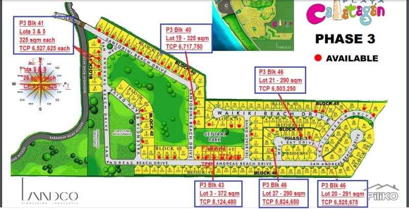 Lot for sale in Calatagan - image 19