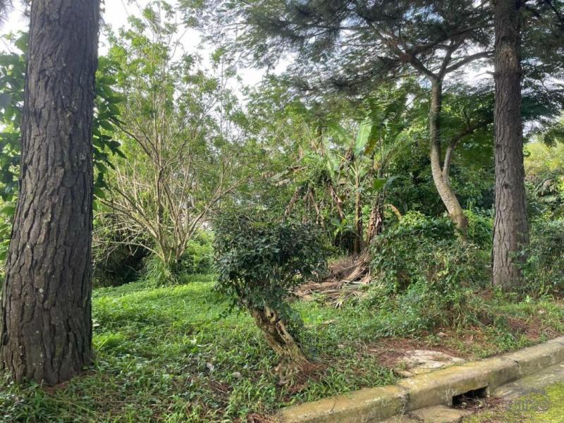 Residential Lot for sale in Silang - image 10