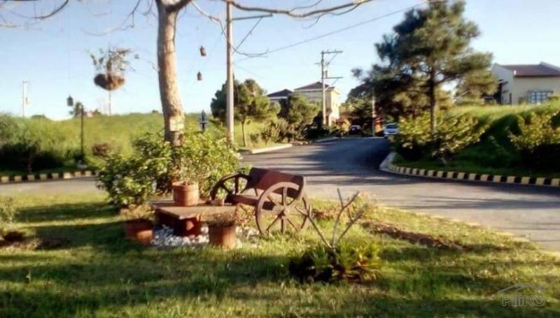 Residential Lot for sale in Silang - image 19