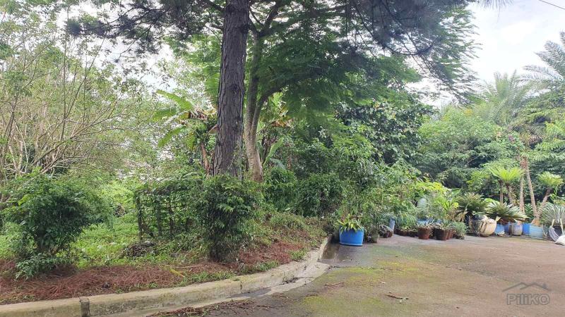 Picture of Residential Lot for sale in Silang