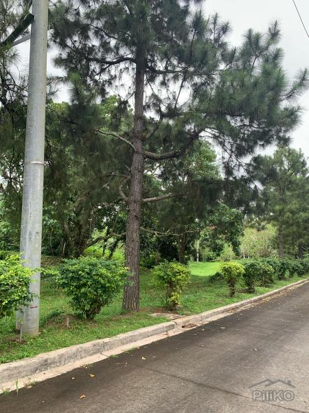 Residential Lot for sale in Silang - image 2