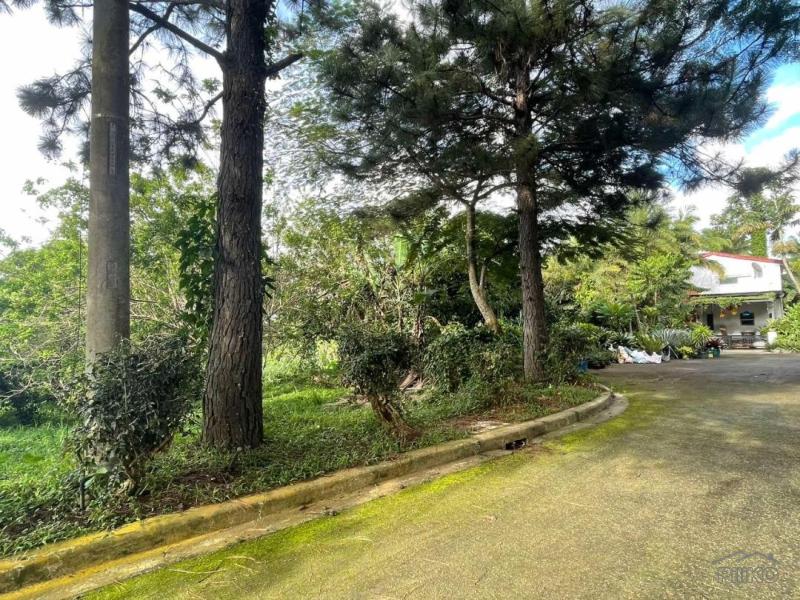 Residential Lot for sale in Silang - image 9