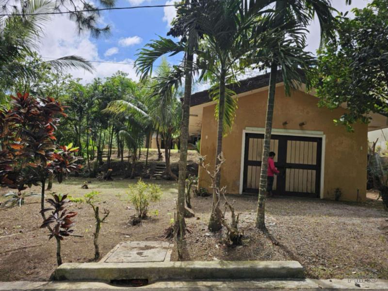 4 bedroom House and Lot for sale in Silang - image 10