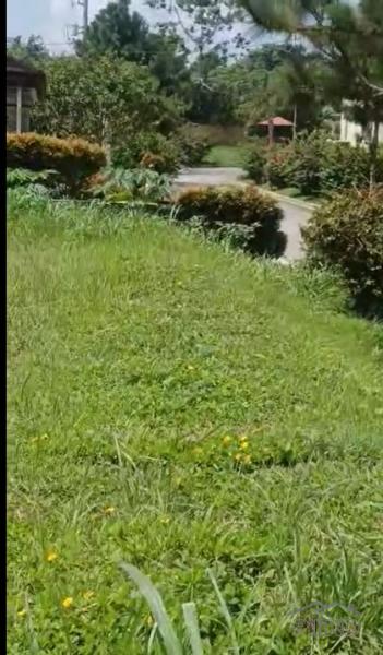 Residential Lot for sale in Silang - image 12