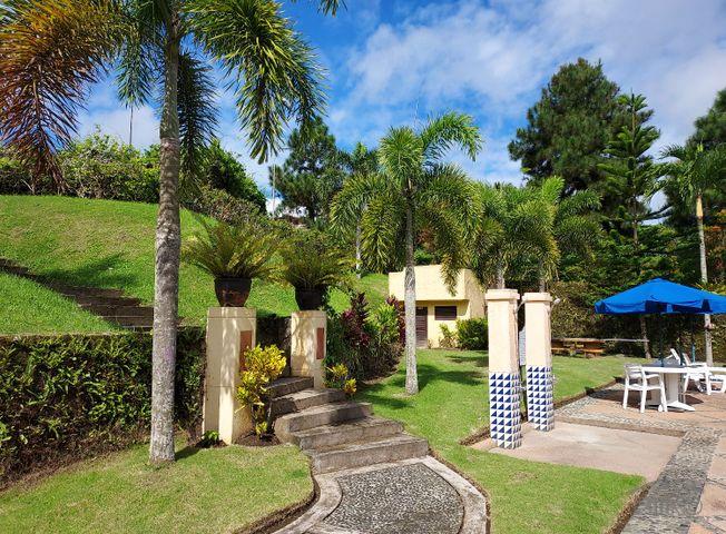 Residential Lot for sale in Silang - image 14